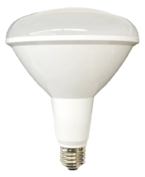 Beautiful Light Technology Corp.